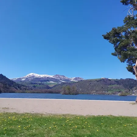Le Pavin Confort - De Michele